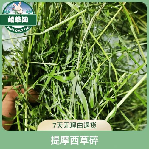 【提摩西草烘干草碎】兔兔龙猫荷兰猪主食 主草提摩西北提国提