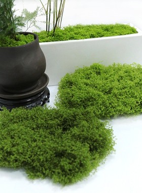 仿真苔藓丝草坪仿生青苔景观绿植小草盆景造景铺面假苔藓装饰假草