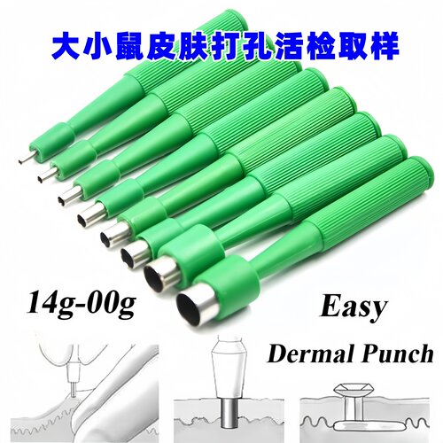 大鼠小鼠皮肤活检打孔器实验室