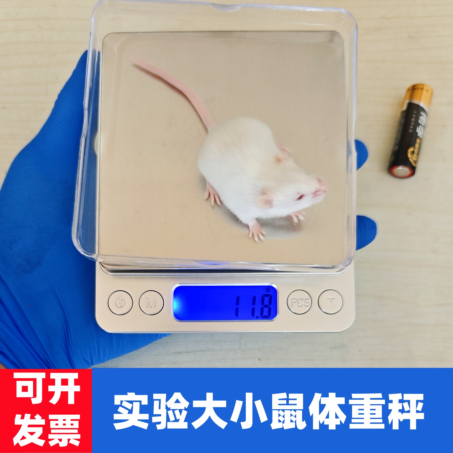 大小鼠体重秤小动物体重秤高精度