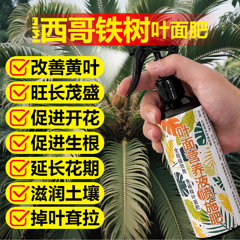 墨西哥铁树专用肥料土营养液叶子发黄干枯萎蔫黑斑软秃掉叶面肥料