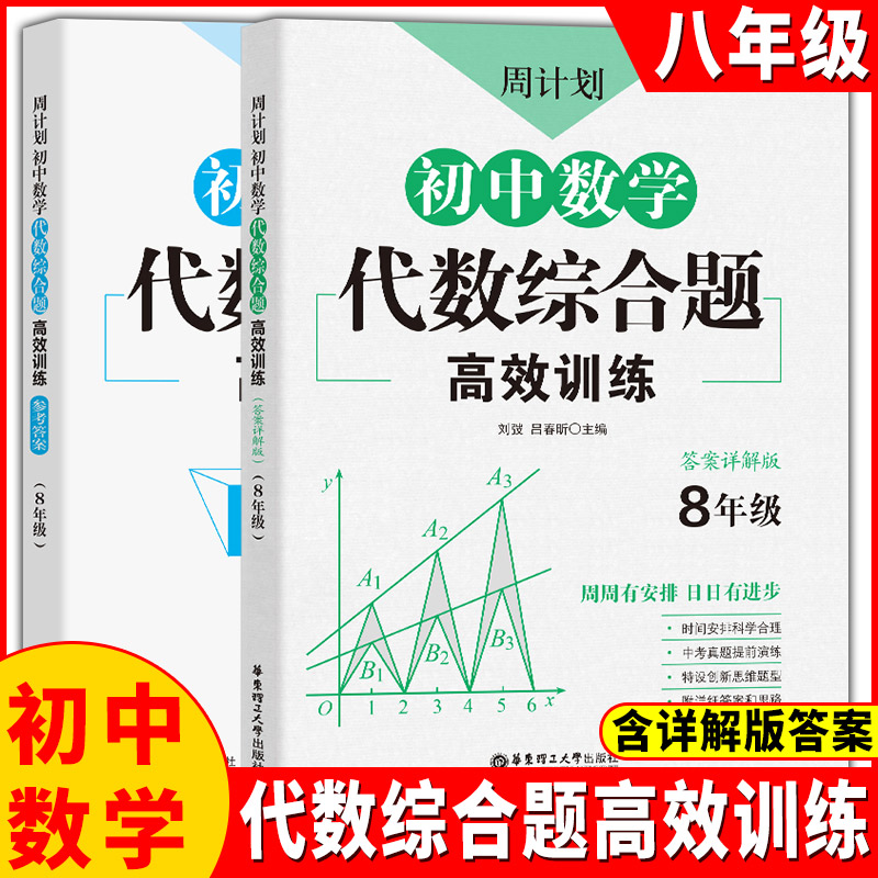 周计划 初中数学代数综合题高效训练 八年级/8年级 初二数学代数题同步训练真题高效专项训练解题技巧周计划初中思维 含详解版答案