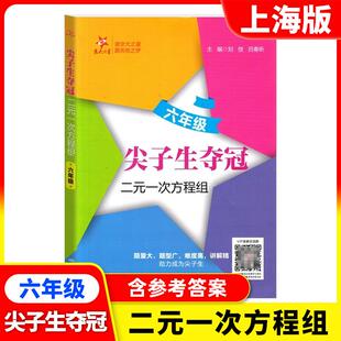 交大之星 尖子生夺冠 二元一次方程组 六年级 上海初中6年级数学专项训练 难度高讲解精 含参考答案 上海交通大学出版社
