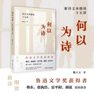 何以为诗：新诗文本细读十五讲 魏天无复旦大学出版社 诗歌评论中国当代