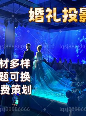 全息投影仪硬件融合器
