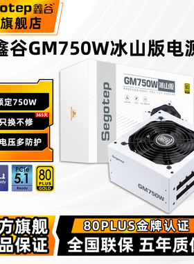鑫谷GM750W冰山版金牌全模组电脑电源台式机电源650W主机电源850W
