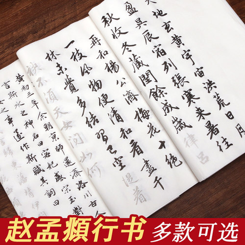 赵孟頫行书毛笔临摹字帖书法成人软笔帖行书描红练字帖真草千字文洛神赋梅花诗初学抄写书法作品纸练字专用纸