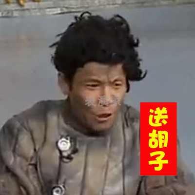 小品表演道具乞丐蓬乱狂人假发