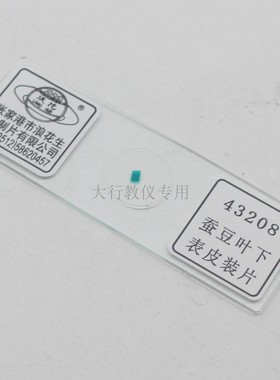43208蚕豆叶下表皮装片张家港浪花牌中学生物实验室用器材教具