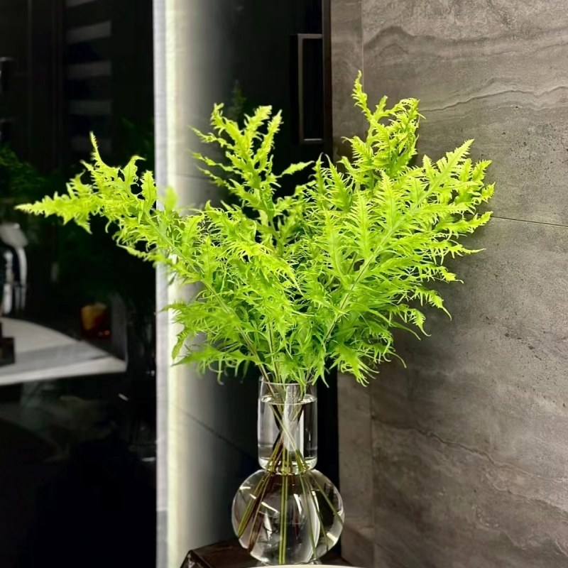 进口凤尾蕨 鲜切花 云南昆明斗南直发