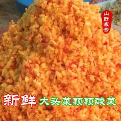 湖南新鲜大头菜颗颗酸 湘西永顺龙山特产下饭菜大头菜酸菜500克