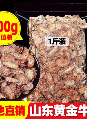 产地直发精选山东牛蒡茶500g包邮