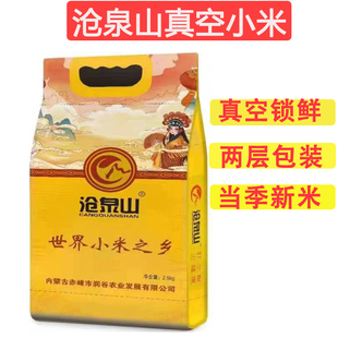 沧泉山K1新小米 真空新黄小米2500g特级小黄米米油粘稠厨房米赤峰