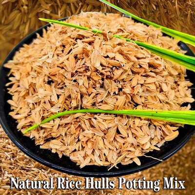 Naturalricehusk稻谷壳