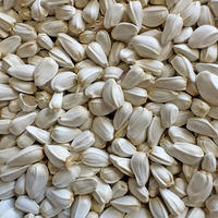 Natural Mixed Seeds Bird Seed Mix, Parrot Food Daily Blend thumbnail 7
