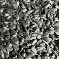 Natural Mixed Seeds Bird Seed Mix, Parrot Food Daily Blend thumbnail 6