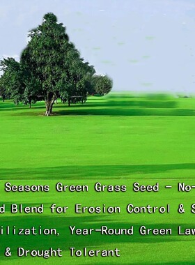 Four Seasons Green Turf Grass Seeds , ‌Evergreen Grass Seed