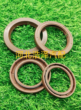 奥盖尔PVG0675TCM131872密封件奥盖尔PVG10030TCM202843专用油封