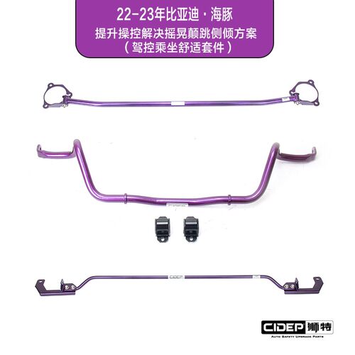 CIDEP狮特比亚迪·海豚升级零件