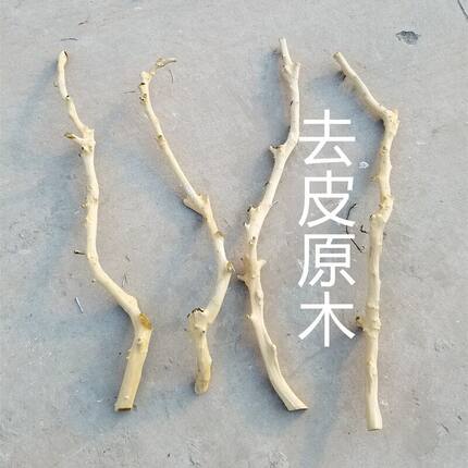 干树枝 树枝装饰干枝艺术枯枝枯木树干 天然去皮本色树枝壁挂衣架