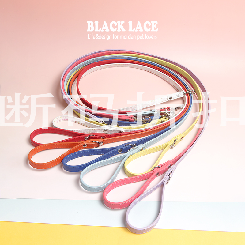 折扣款式宠物牵引绳Blacklace