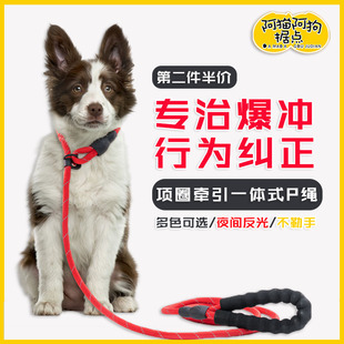 边牧犬专用遛狗牵引绳防爆冲中大型犬P链训狗绳子套脖子幼犬项圈