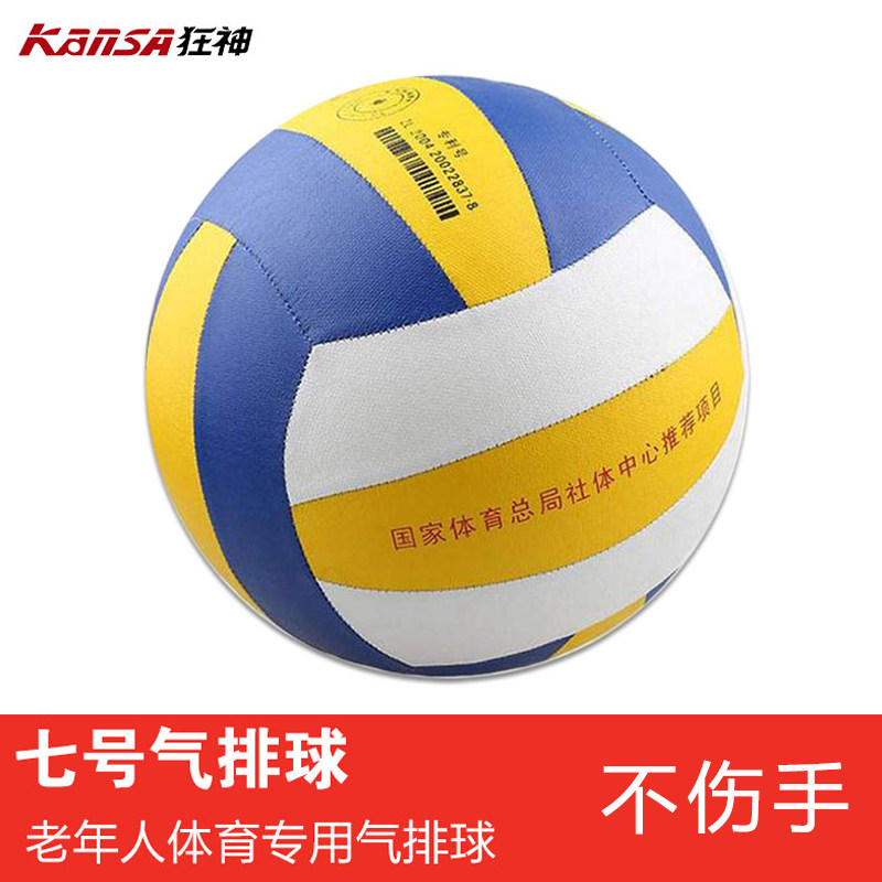 Ballon de volley-ball - Ref 2013389 Image 5