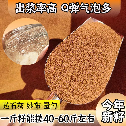 贵州特产精品手搓冰粉籽商用推荐