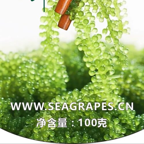 良佳优海葡萄300g实惠装 - 封面