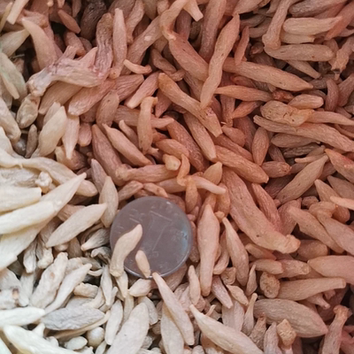 四川绵阳三台麦冬茶无硫