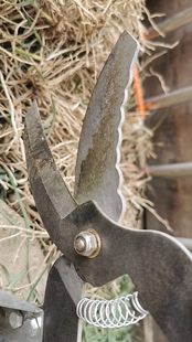 麦冬剪苗子剪刀 剪麦冬苗神器 川麦冬