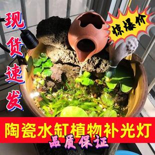 古法养鱼陶瓷盆水缸专用鱼缸夹灯水草补光灯原生溪流变焦南美射灯