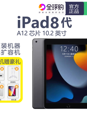 Apple/苹果 ipad pro wifi版 5/6/7代 2020款8代128GB 平板电脑
