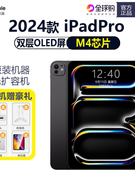 Apple/苹果 11 英寸 iPad Pro 2024款学生专用游戏国补贴平板电脑