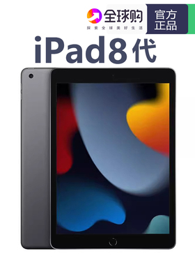 Apple/苹果 ipad pro wifi版 5/6/7代 2020款8代128GB 平板电脑