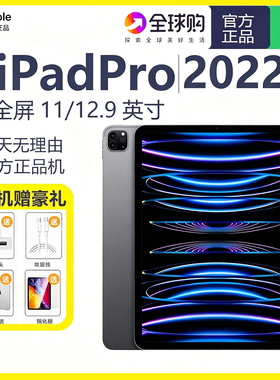 Apple/苹果11英寸iPadPro2022款 (第四代)2021/2020学生平板电脑