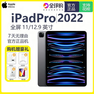 Apple/苹果11英寸iPadPro2022款 (第四代)2021/2020学生平板电脑