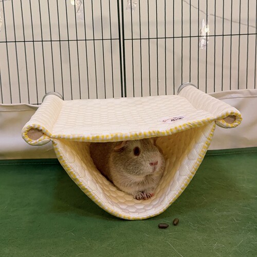 【居咪】荷兰猪豚鼠冰丝凉感夏天夏季吊床冰感面料 吸尿
