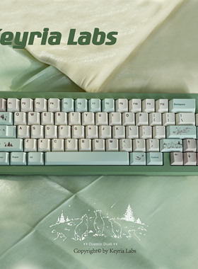 Keyria Labs / 日光 PBT客制化键帽 五面热升华