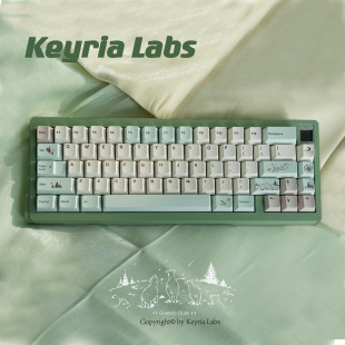 Keyria 日光 PBT客制化键帽 五面热升华 Labs