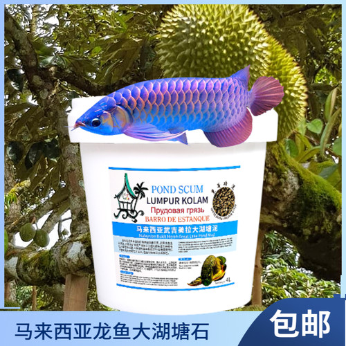 马来西亚武吉美拉软水硝化FTC