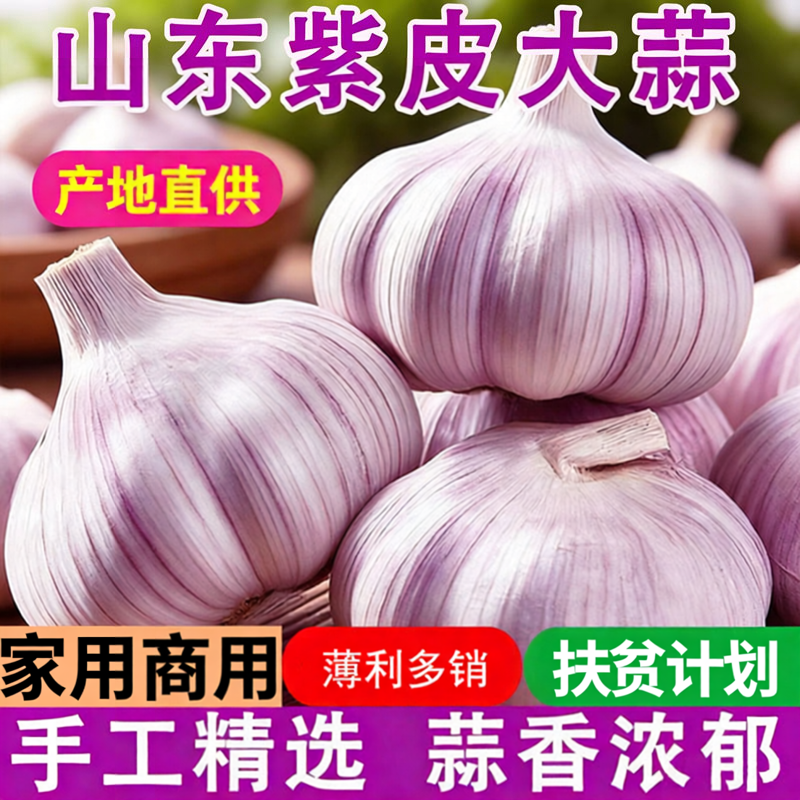 26年新山东大蒜头金乡紫白皮半干蒜大蒜瓣商用大蒜头净重5斤包邮
