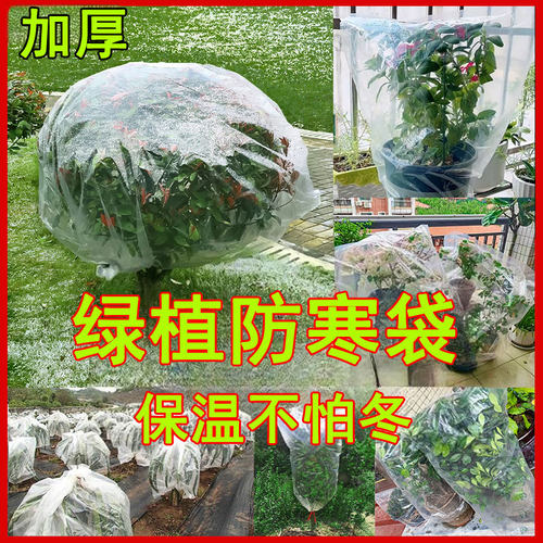绿植保温袋防冻塑料膜保温不怕冬