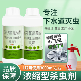 下水道杀虫剂卫生间厕所防除蟑螂蚊子蛾蠓灭蜈蚣小飞虫蛾蚋药神器