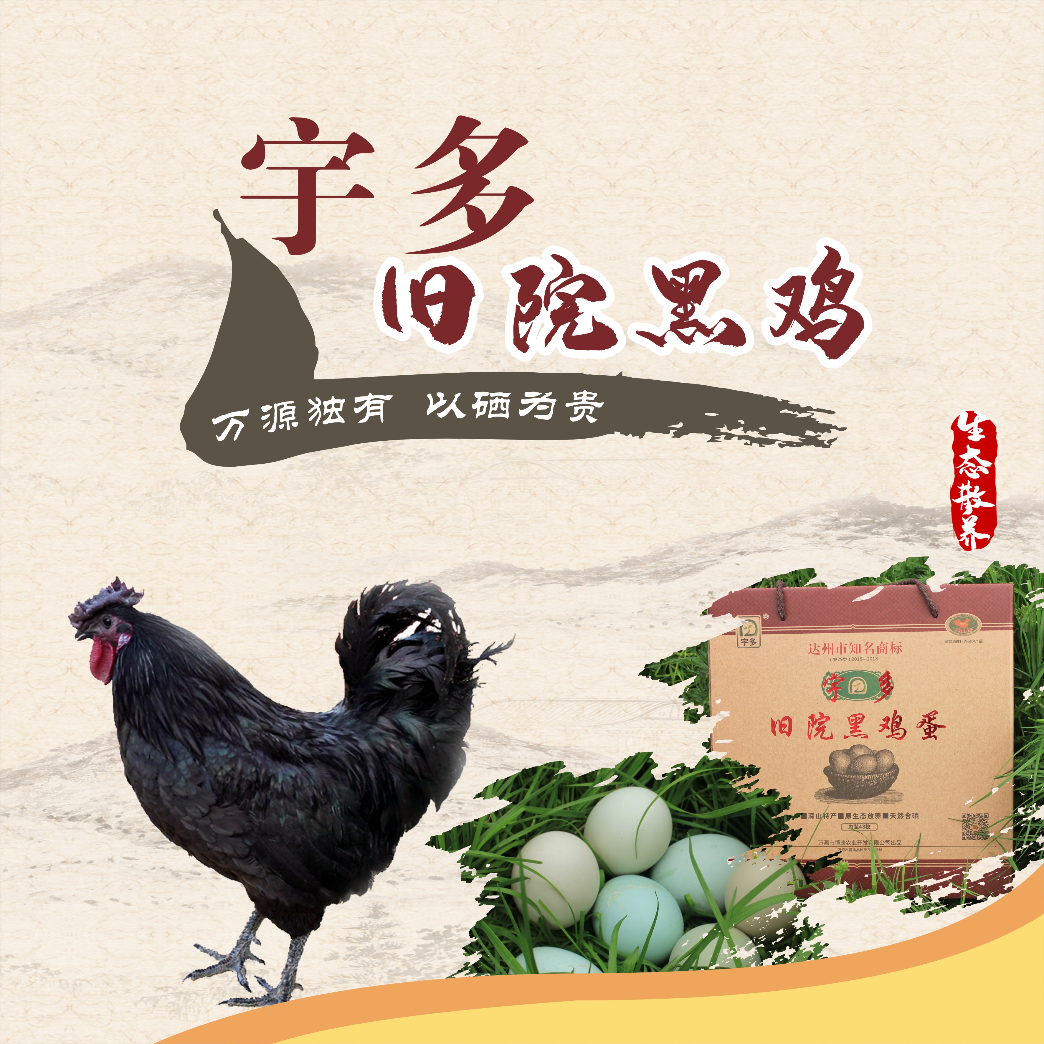 宇多地理标志土鸡 青年创业深山放养旧院黑鸡母(12月龄 冷冻真空