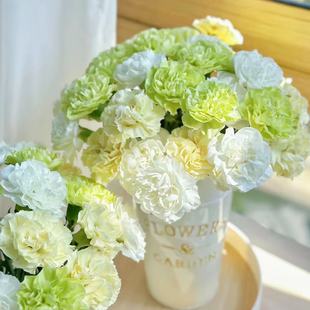 包邮 云南新鲜鲜花全店任意2件 送货上门 薄荷冰康乃馨20支