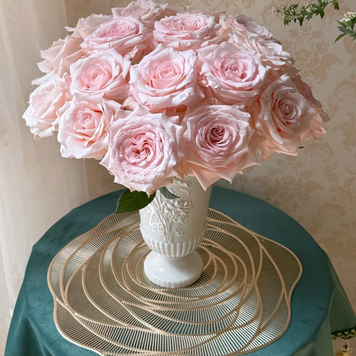 【双鱼座玫瑰10支】云南新鲜鲜花 全店任意两件顺丰京东包邮