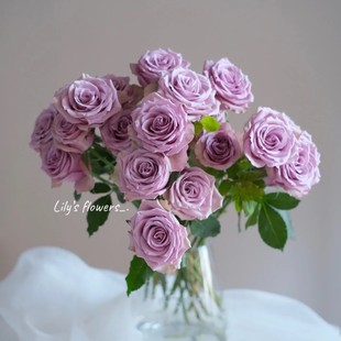 包邮 全店任意2件 云南新鲜鲜花 送货上门 紫霞仙子20支