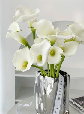 【白色马蹄莲10支】云南新鲜鲜花基地直发任意2件包邮送货上门