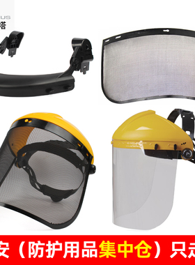 代尔塔101403 101305 101303 101306 101304防化防冲击面屏面罩